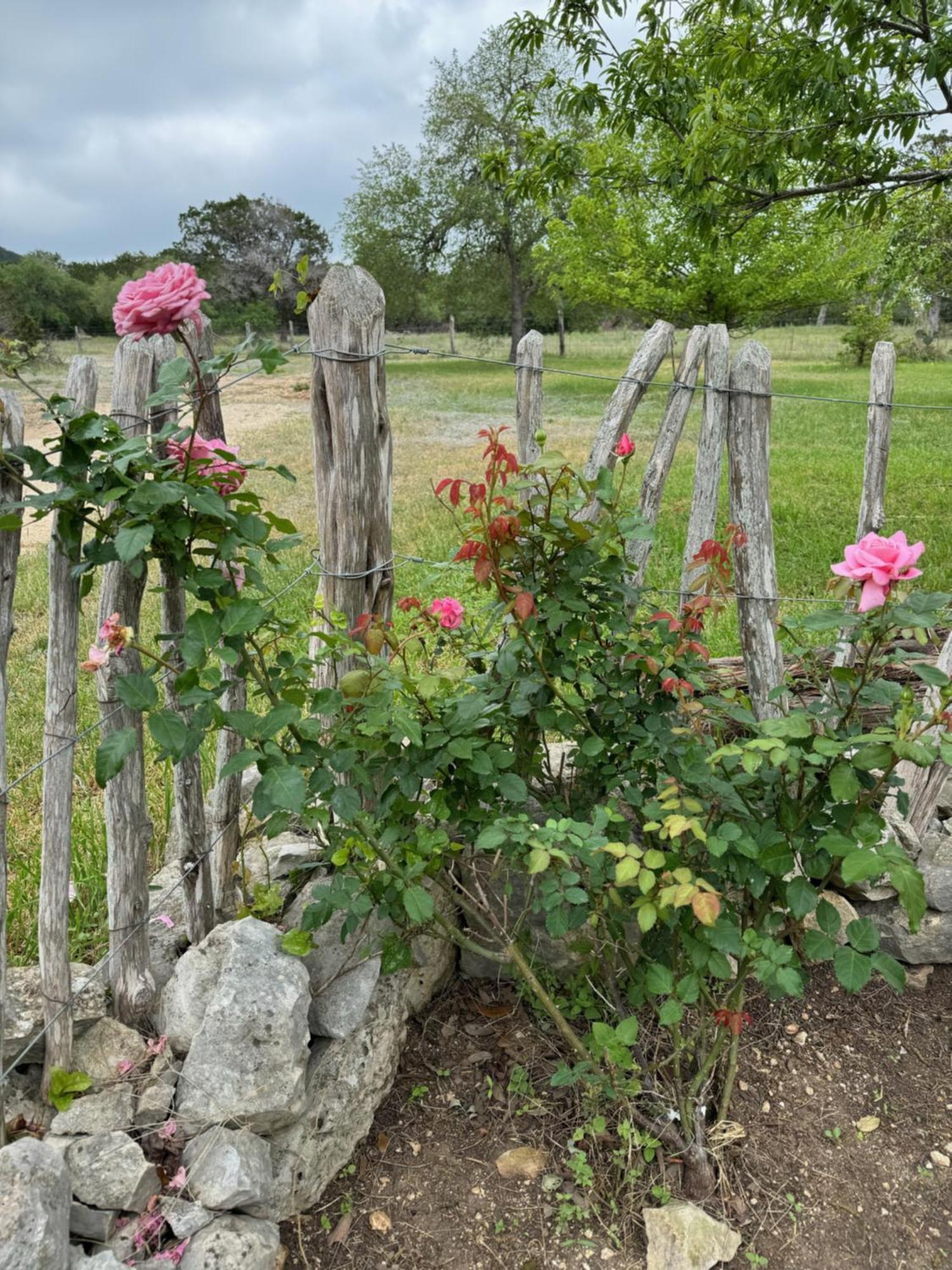 Last Outpost - Sophie'S Cottage メディナ郡  エクステリア 写真